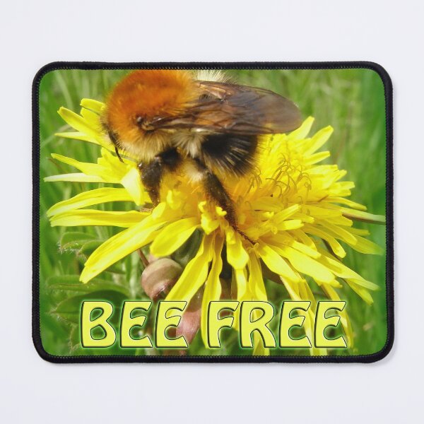 Item preview, Rufus McBee, Bumblebee, BEE FREE Print North Downs,UK, British Wildlife designed and sold by leyfinder.