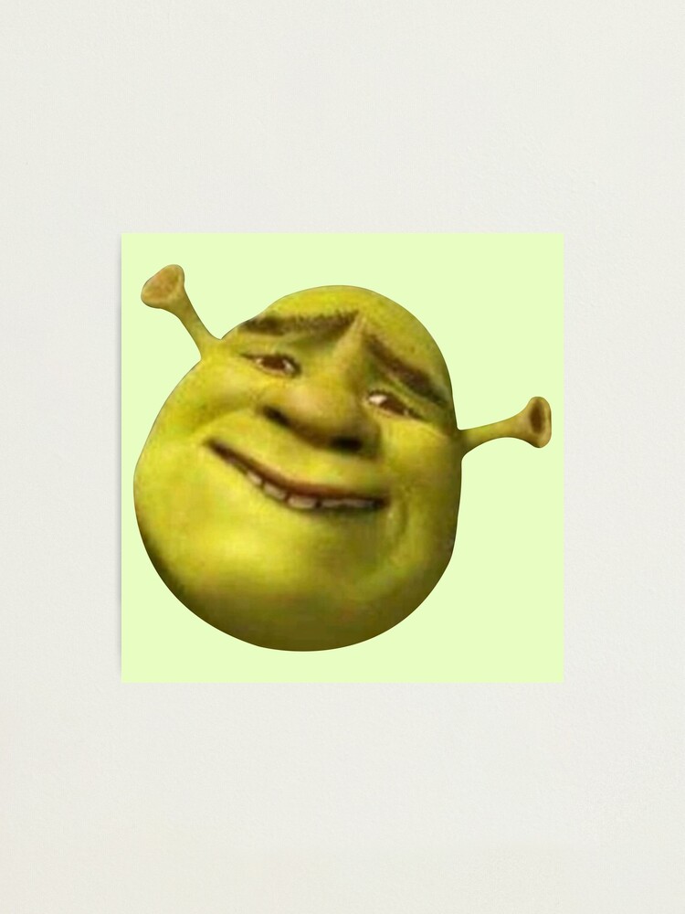 Shrek Memes For People Who Still Like Shrek Memes - Memebase