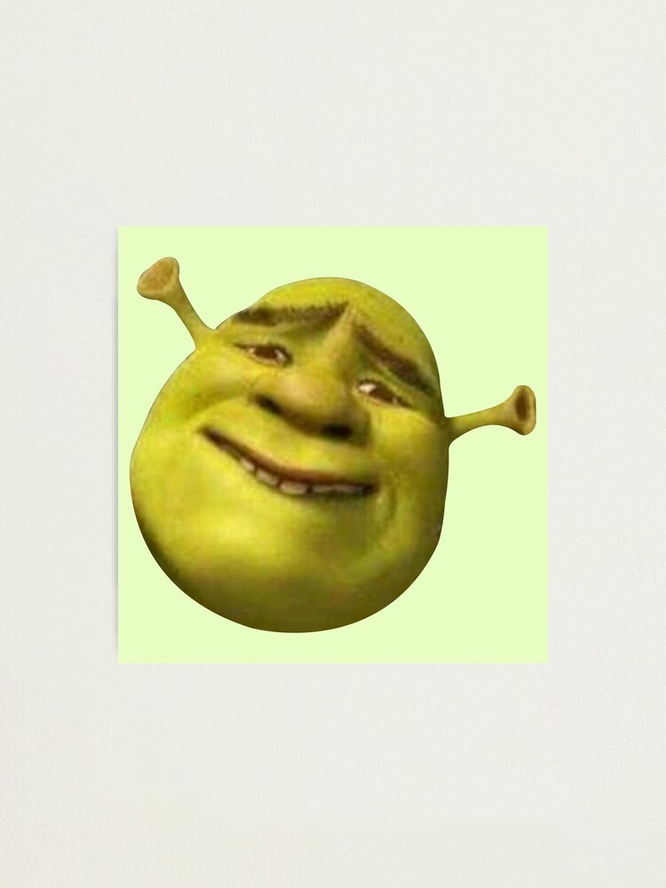 Shrek meme | Pin