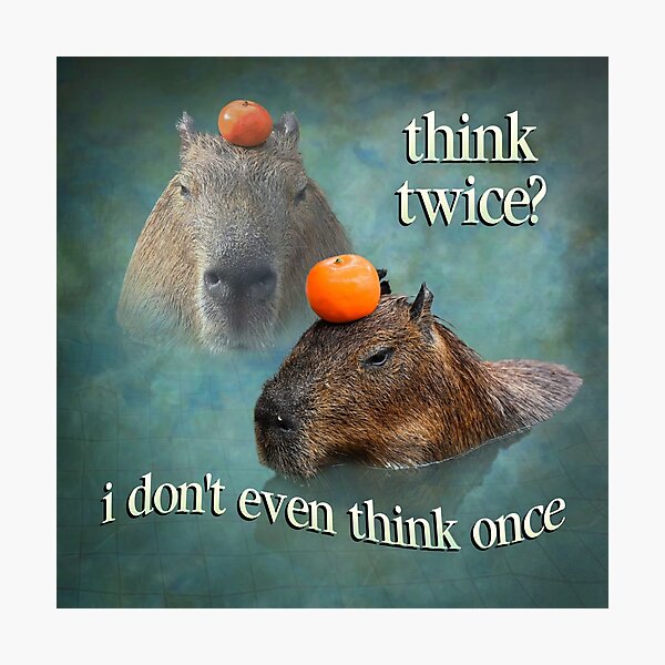 Capybara Meme Wall Art for Sale