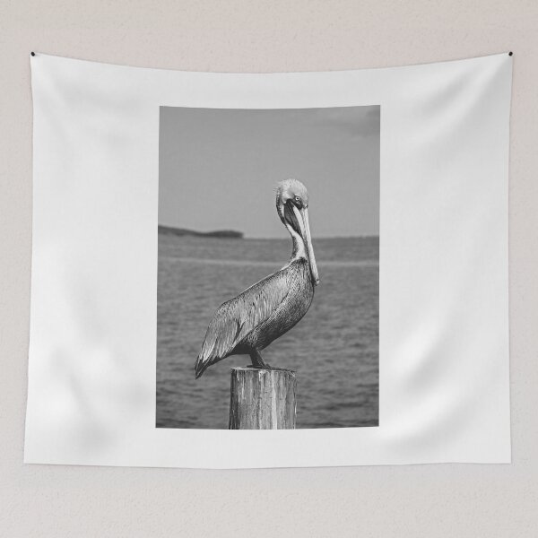 Item preview, Brown Pelican in black and white designed and sold by irishmurr.