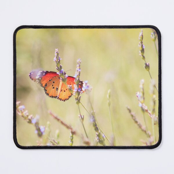 Item preview, Fluttering Beauty designed and sold by Roxanne du Preez.