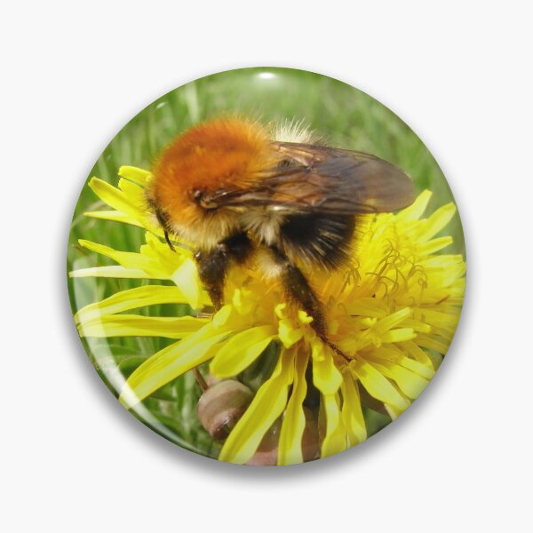 Item preview, Majestic Rufus McBee Bumblebee North Downs,UK, British Wildlife designed and sold by leyfinder.