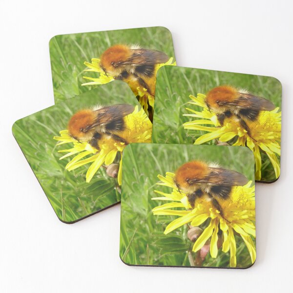 Item preview, Majestic Rufus McBee Bumblebee North Downs,UK, British Wildlife designed and sold by leyfinder.