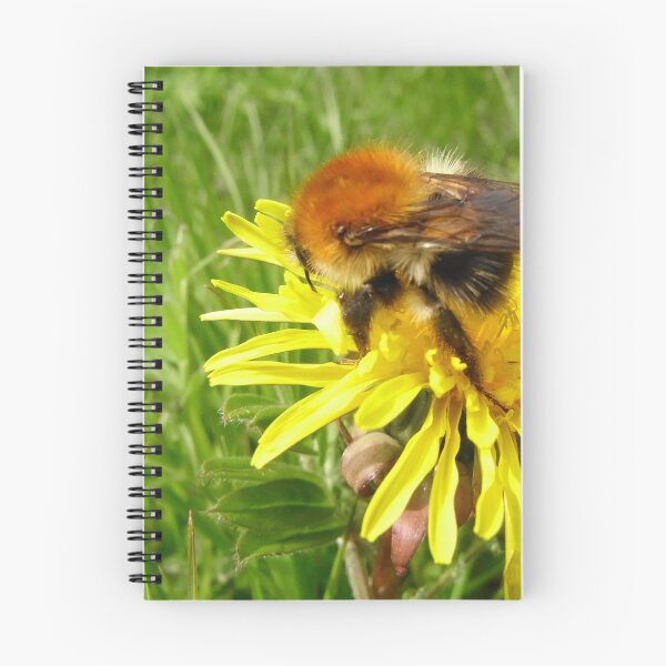 Item preview, Majestic Rufus McBee Bumblebee North Downs,UK, British Wildlife designed and sold by leyfinder.