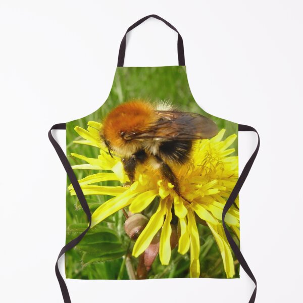 Item preview, Majestic Rufus McBee Bumblebee North Downs,UK, British Wildlife designed and sold by leyfinder.