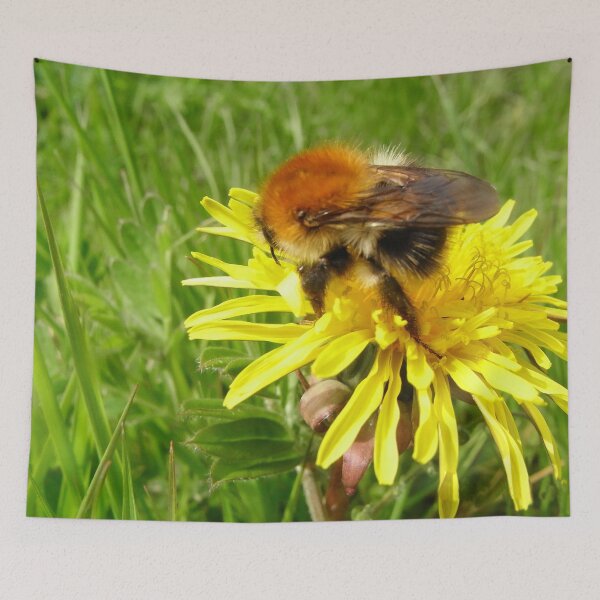 Item preview, Majestic Rufus McBee Bumblebee North Downs,UK, British Wildlife designed and sold by leyfinder.