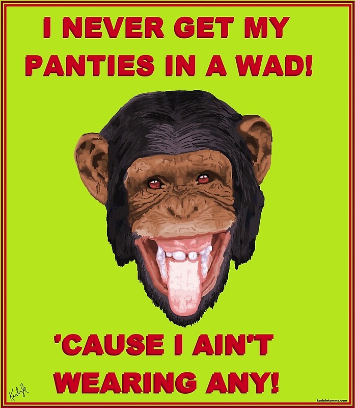 "PANTIES IN A WAD" by KarlyleTomms Redbubble