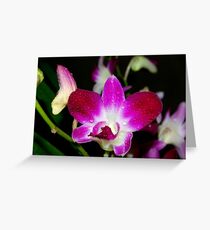Singapore Orchid Greeting Card