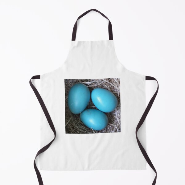Item preview, Robin Blue Eggs in Nest designed and sold by Judy Geller.