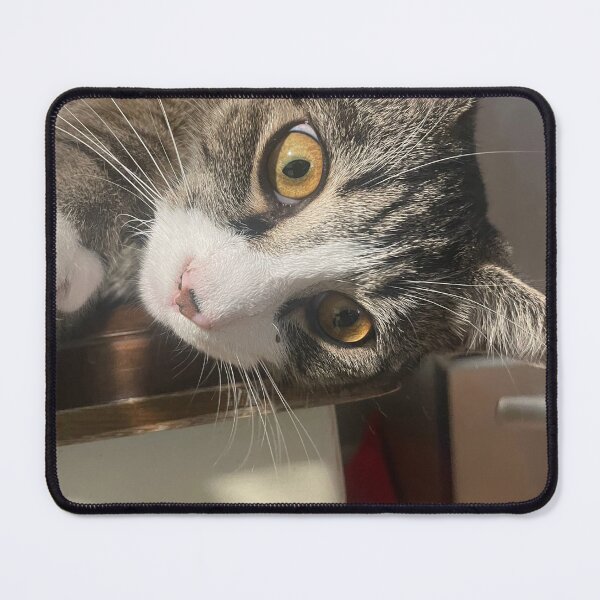 Item preview, Play with me!!! designed and sold by Johnhux.