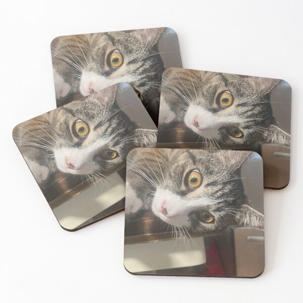 Item preview, Play with me!!! designed and sold by Johnhux.