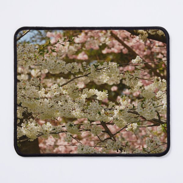 Item preview, Blossoming in Western New York designed and sold by fototaker Tony.
