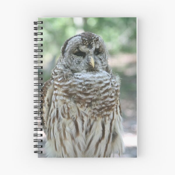 Item preview, Owl designed and sold by Luckyhighland.