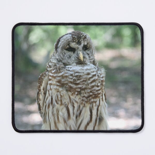 Item preview, Owl designed and sold by Luckyhighland.