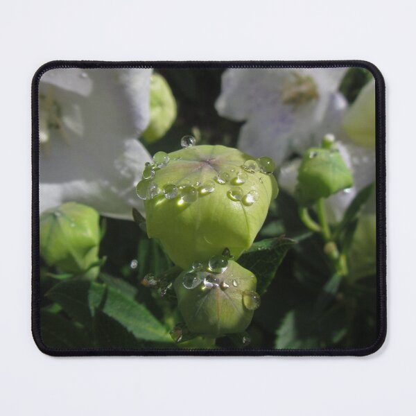 Item preview, Waterdrops on Platycodon Flowers designed and sold by Sirielle Art.