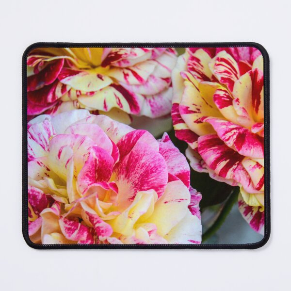 Item preview, Rose Trio designed and sold by plantlegend.