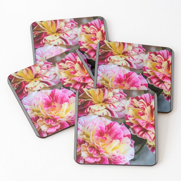 Item preview, Rose Trio designed and sold by plantlegend.