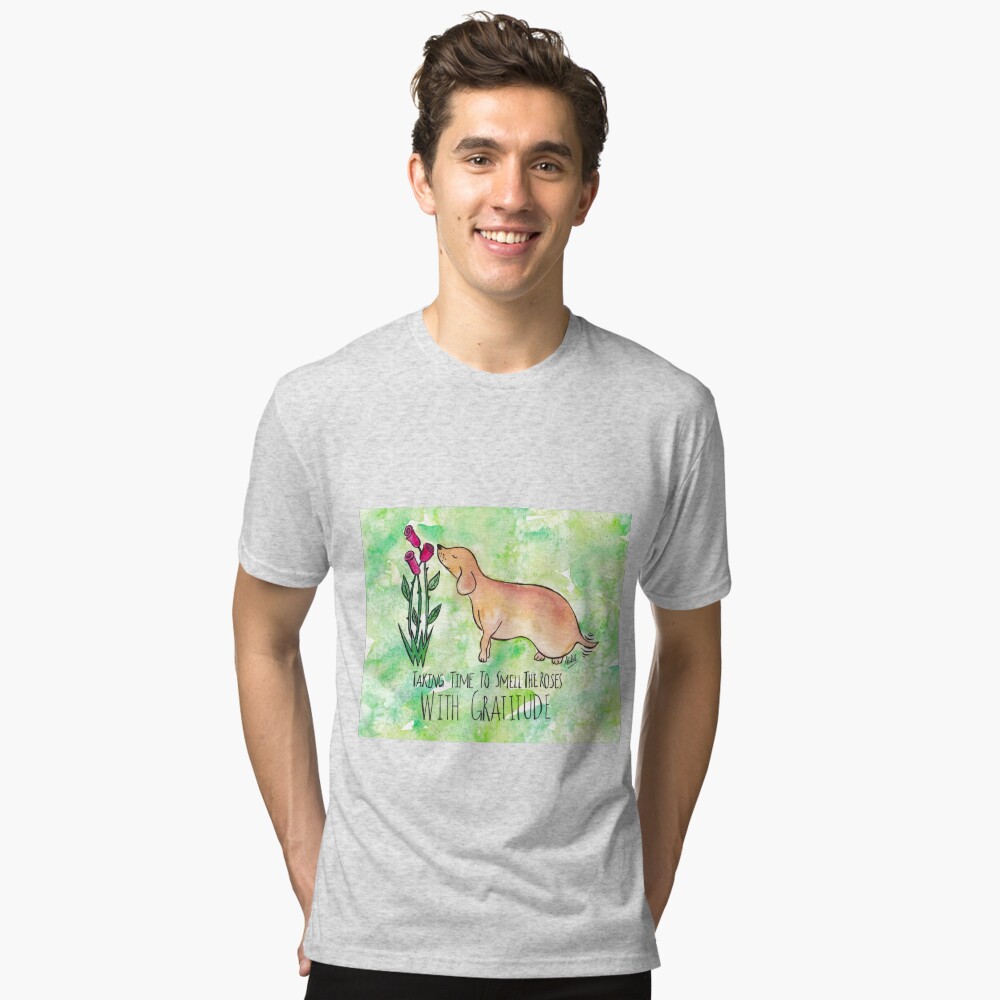 Item preview, Tri-blend T-Shirt designed and sold by Shilissimo.