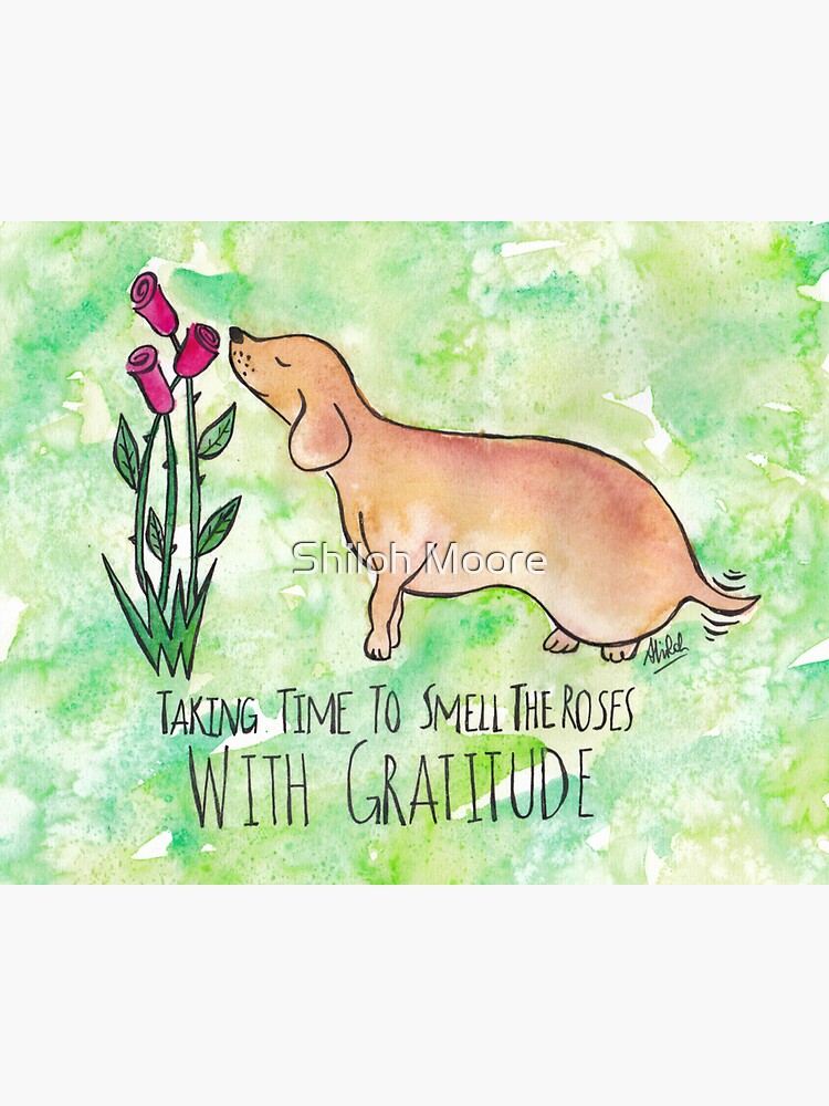 Thumbnail 3 of 3, Sticker, Taking Time To Smell The Roses With Gratitude designed and sold by Shilissimo.