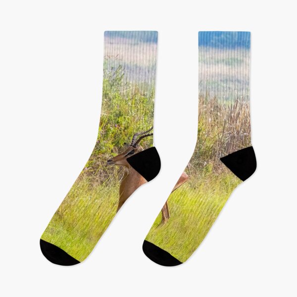 Item preview, Male Impala Antelope in Grassy Field designed and sold by SafariByMarisa.