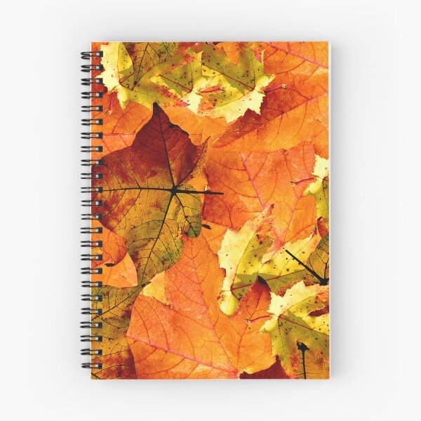 Item preview, orange fall  designed and sold by JustLagoons.