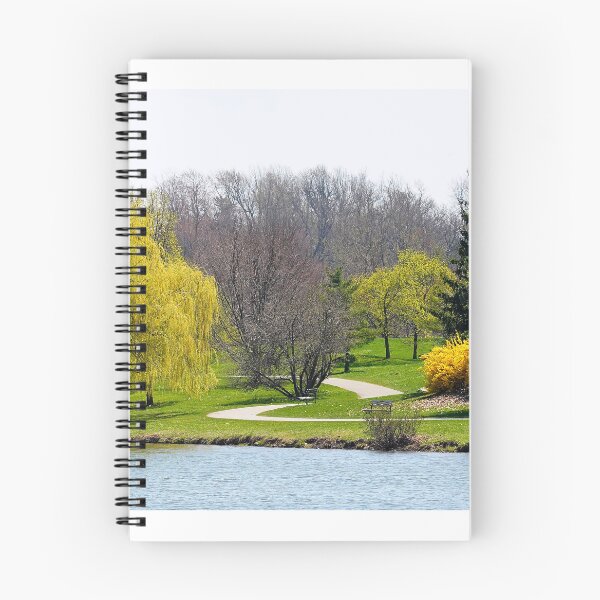 Item preview, The Willows of Delaware Park Buffalo designed and sold by fototaker Tony.