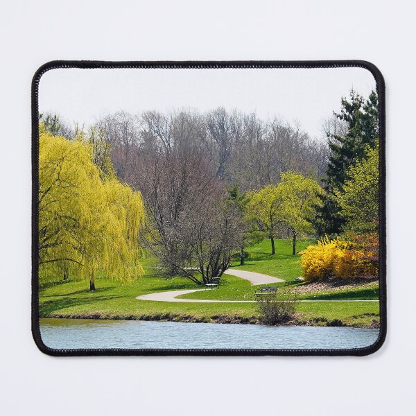 Item preview, The Willows of Delaware Park Buffalo designed and sold by fototaker Tony.