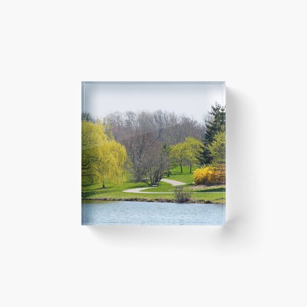 Item preview, The Willows of Delaware Park Buffalo designed and sold by fototaker Tony.
