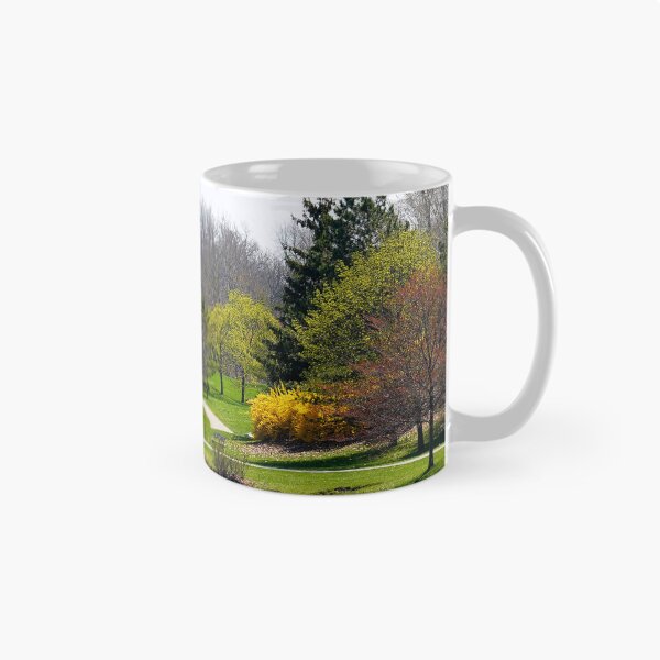 Item preview, The Willows of Delaware Park Buffalo designed and sold by fototaker Tony.