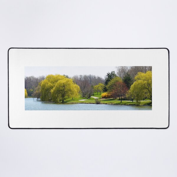 Item preview, The Willows of Delaware Park Buffalo designed and sold by fototaker Tony.