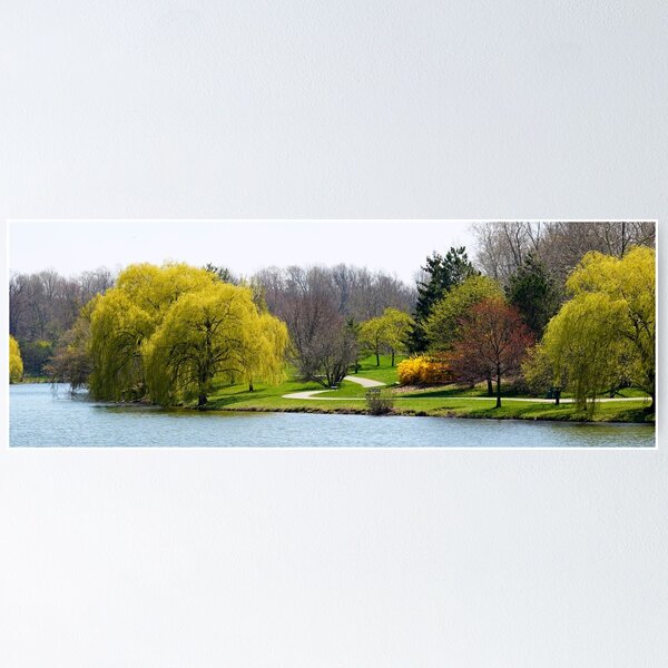 Item preview, The Willows of Delaware Park Buffalo designed and sold by fototaker Tony.