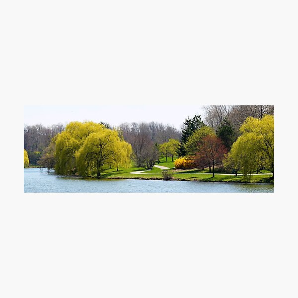 Item preview, The Willows of Delaware Park Buffalo designed and sold by fototaker Tony.