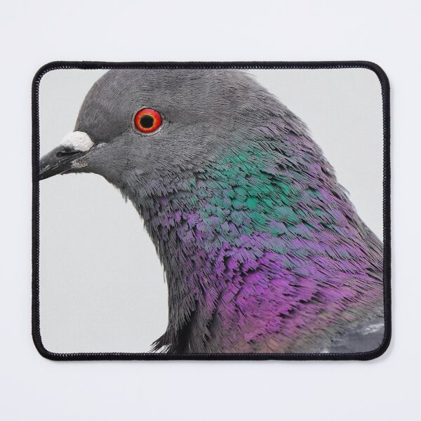 Item preview, Pigeon designed and sold by JamieGrant1972.