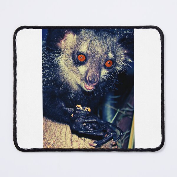 Item preview, odd aye-aye designed and sold by selahrae.