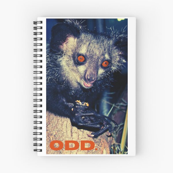 Item preview, odd aye-aye designed and sold by selahrae.