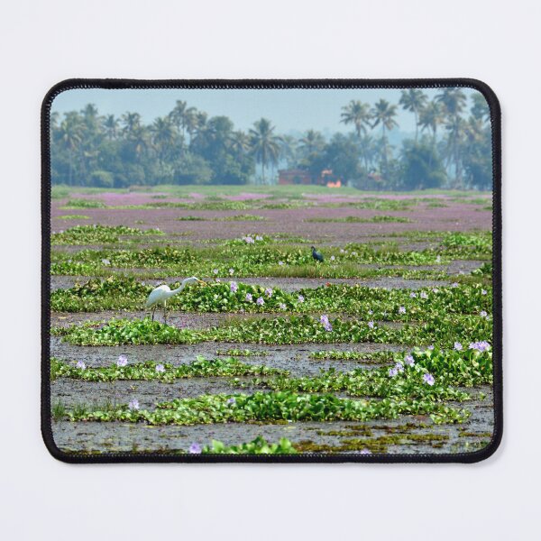 Item preview, India - Alappuzha designed and sold by franck380.