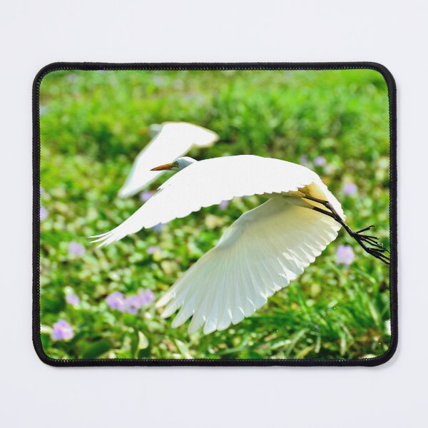 Item preview, India - Alappuzha designed and sold by franck380.