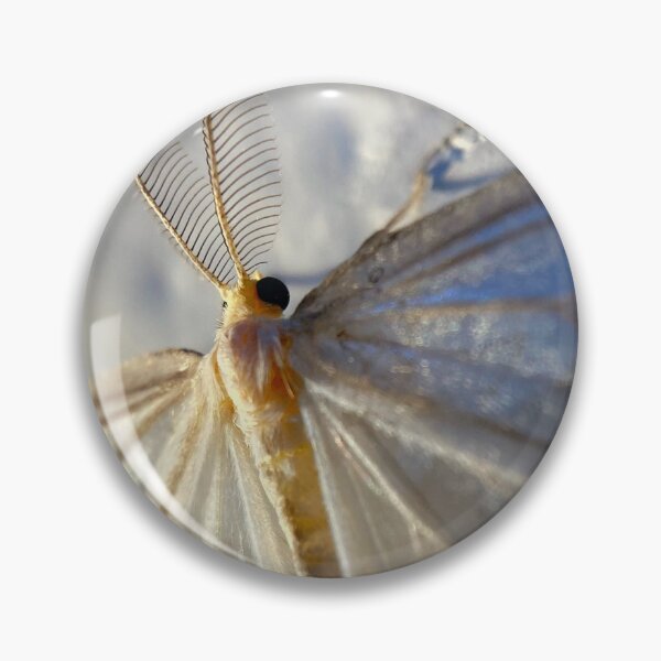Item preview, WHITE MOTH - a fairy like white iridecent moth closeup photo designed and sold by OZKURO.