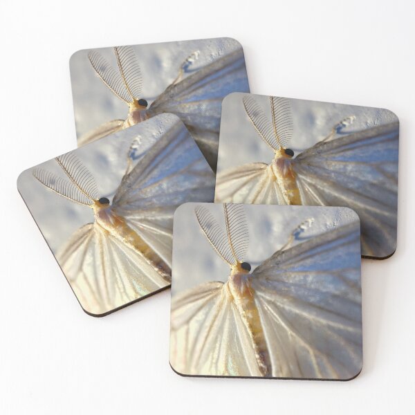 Item preview, WHITE MOTH - a fairy like white iridecent moth closeup photo designed and sold by OZKURO.