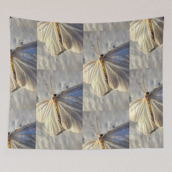 Item preview, WHITE MOTH - a fairy like white iridecent moth closeup photo designed and sold by OZKURO.