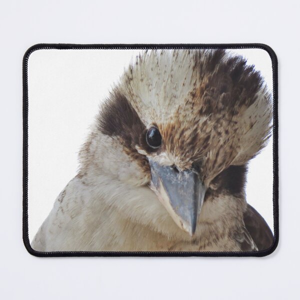 Item preview, Kookaburra  designed and sold by Cindy Hitch.