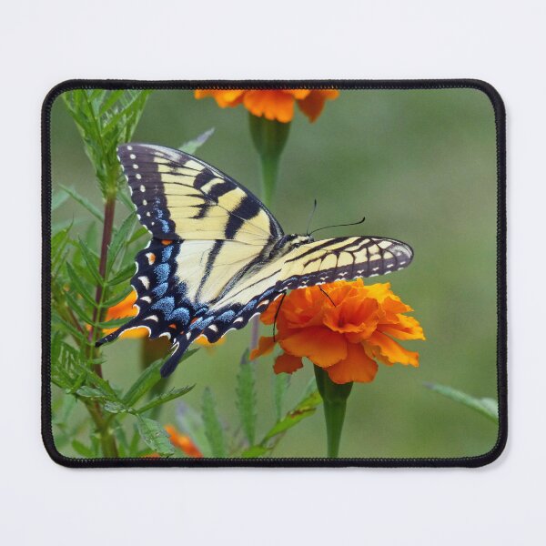Item preview, Yellow Eastern Tiger Swallowtail designed and sold by Frankie Cat Photography.