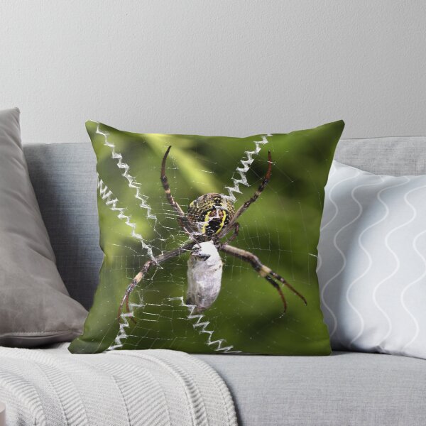 Item preview, The Zipper Affect designed and sold by Joy Watson - Natural Light Photography .