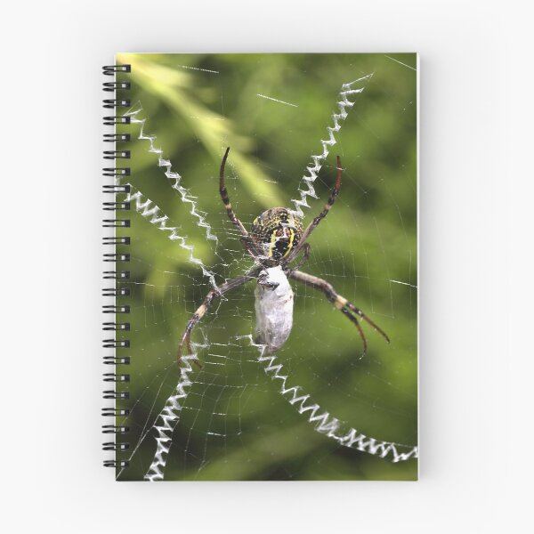 Item preview, The Zipper Affect designed and sold by Joy Watson - Natural Light Photography .