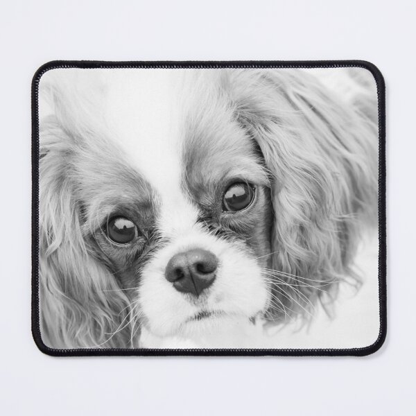 Item preview, Cavalier King Charles Spaniel designed and sold by Tanya C Smith.