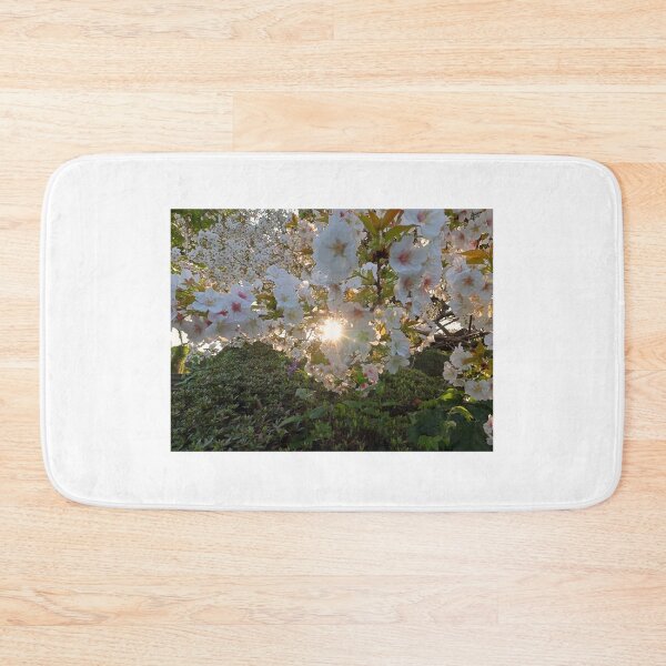 Item preview, Backlit Sakura in full bloom designed and sold by nokkcca.