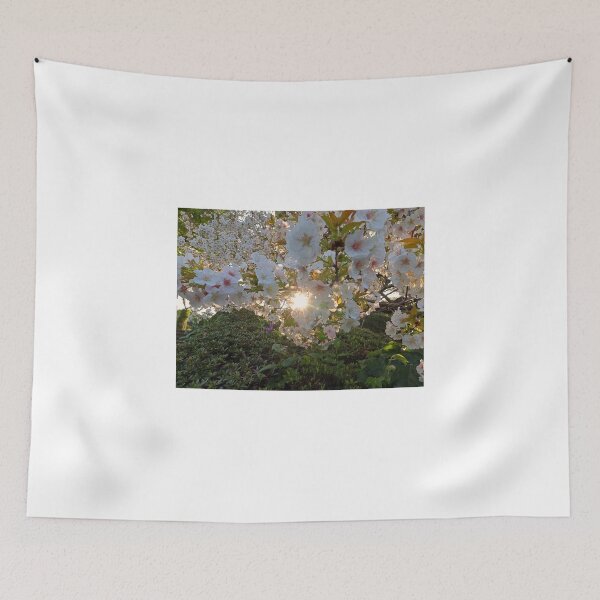 Item preview, Backlit Sakura in full bloom designed and sold by nokkcca.