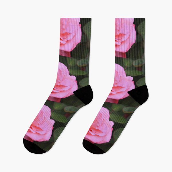 Item preview, Marijke Koopman Hybrid Tea Rose designed and sold by Robert Armendariz.