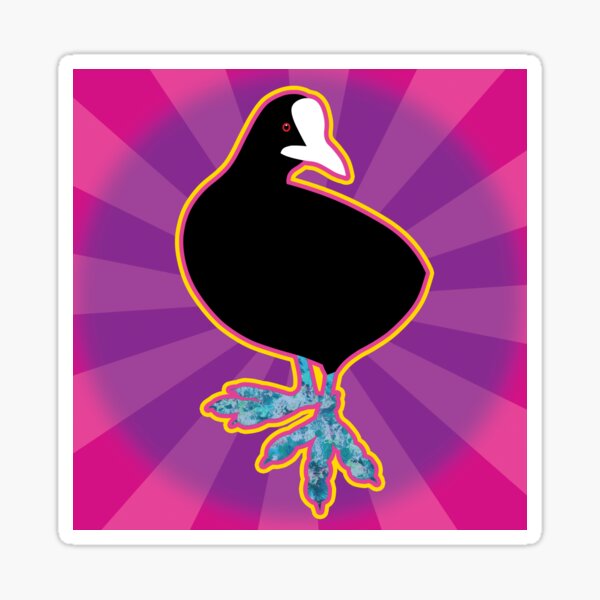 The uncommon Common Coot Sticker